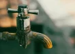 something in the water